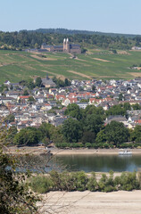 Fototapeta na wymiar Rhein mit Ruedesheim