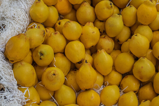 yellow quinces in a street market