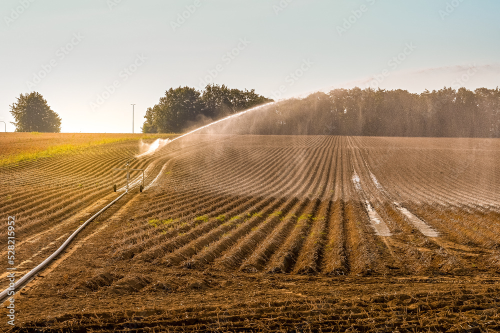 Wall mural secheresse environnement eau agriculture belgique wallonie eau planète arrosage