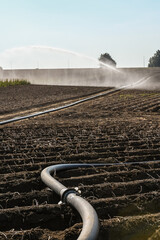 secheresse environnement eau agriculture Belgique Wallonie eau planète arrosage