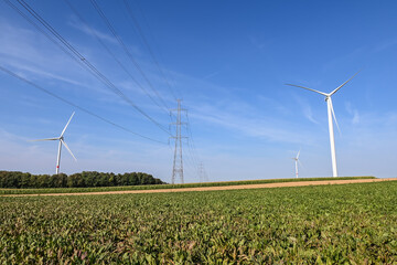 éolienne vent energie electricité verte ecologie environnement Wallonie