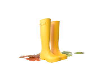 Beautiful Autumn Season