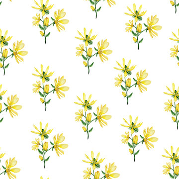 Branch yellow water lily watercolor seamless pattern. Template for decorating designs and illustrations.