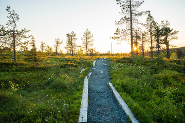 Fototapeta na wymiar Marked Riisin Rääpäsy hiking trail during a beautiful summery sunset in Riisitunturi National Park, Northern Europe