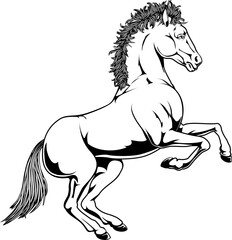 Black and white horse illustration © Christos Georghiou