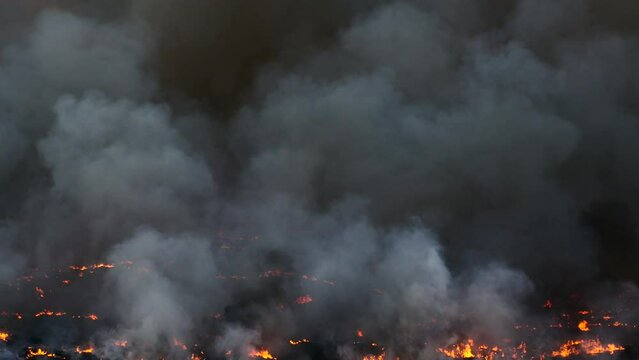 Incendio en un campo provocando una gran humareda.