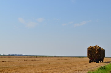 hay bales in the field