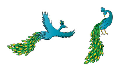 Colorful Peacock Male Flying Sitting Cartoon Character	