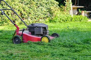 Cleaning and mowing lawn green grass in the yard with a home lawn mower.