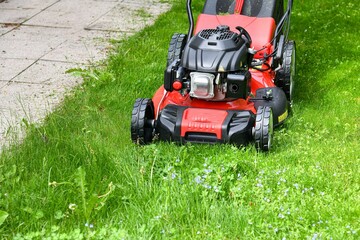 A man mows lawn grass with a lawn mower at home.