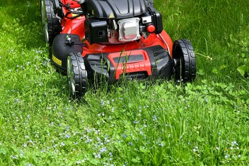 Obraz premium Home lawn mower on green lawn grass.