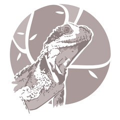 Komodo dragon logo vector illustration