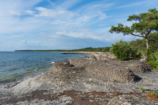 Byrums rakar, &Ouml;land, Sweden.