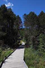 Fototapeta premium Montagne et lac