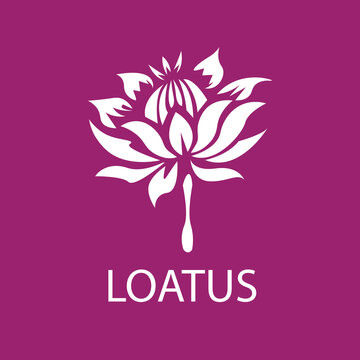 Lotus Vector Logo Royalty Free