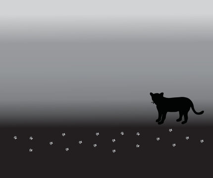 black silhouette of cat