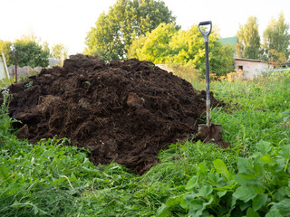 heap of compost in the farmer's vegetable garden.organic fertilizer for the soil