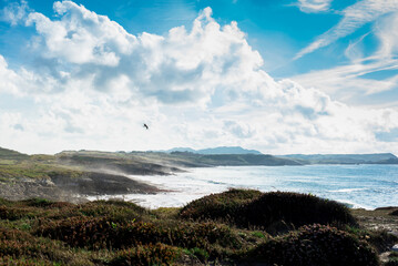 Paisaje del Mar Cantábrico. Costa norte de España