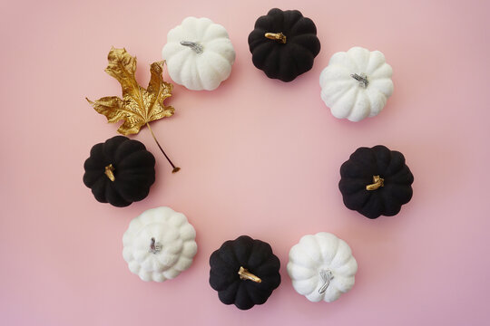 "Black Pumpkin" Images – Browse 294 Stock Photos, Vectors, and Video ...