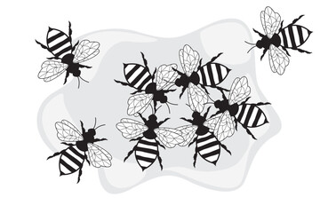 Set of bees. Bees hand drawn. Honey bee illustration vector
