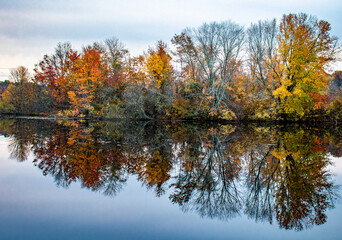 autumn trees reflected in water