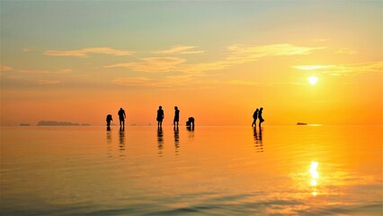 Silouhette in the water