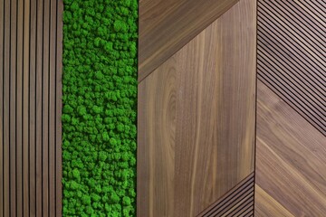 a very beautiful and expensive door in the house, with a beautiful handle and a veneer and moss...