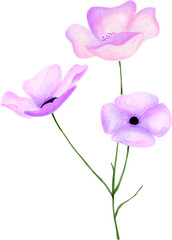 Purple and pink flower floral watercolor for decoration
