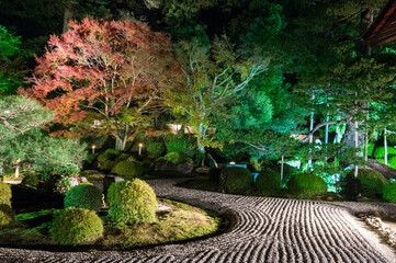 京都 夜の曼殊院門跡のライトアップされた枯山水の庭園