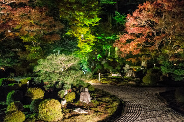 Beautiful Japanese style garden illuminated at Manshuin Monzeki at night in Kyoto