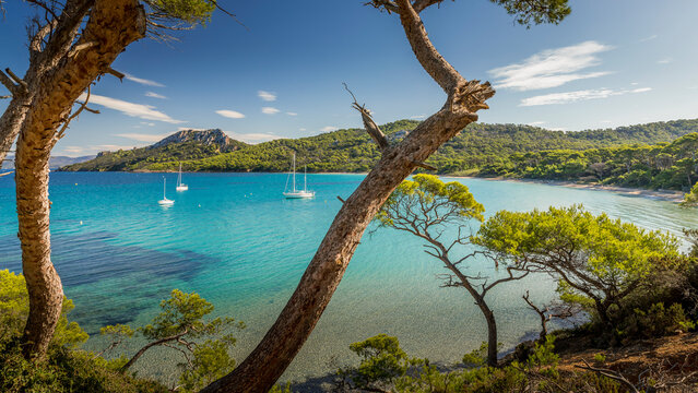 L'ile de Porquerolles et la plage de Notre Dame - The island of Porquerolles and the beach of Notre Dame	