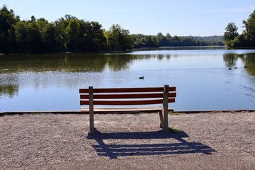 Fototapeta na wymiar The empty park bench at the lake on a sunny day.