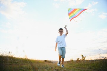 Kid with kite on meadow