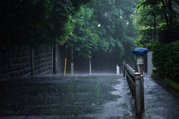 大雨の東京の赤坂6丁目での風景 - obrazy, fototapety, plakaty