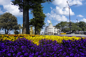 The Dome - Napier’s Iconic and True Art Deco Style Building © Evgueni