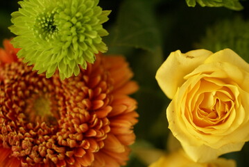 SONY DSC
