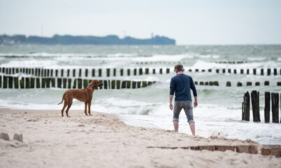 A man walking his dog on the beach on a cool evening. Walk with the dog at the seaside.