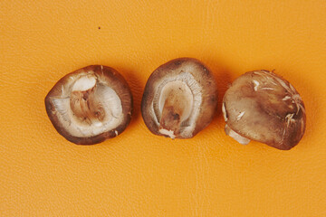 raw champignon mushroom on a orange background 