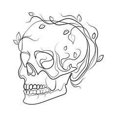 Skull with growing flowers,leaves and plants Line art drawing,Abstract vector illustration.Surreal fantasy idea.Human skull sketch drawing for t-shirt print,tattoo,emblem,logo.Halloween design elemen