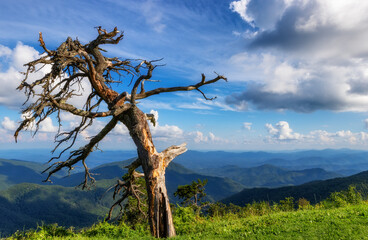 Blue Ridge Parkway Scenic Views in North Carolina, USA