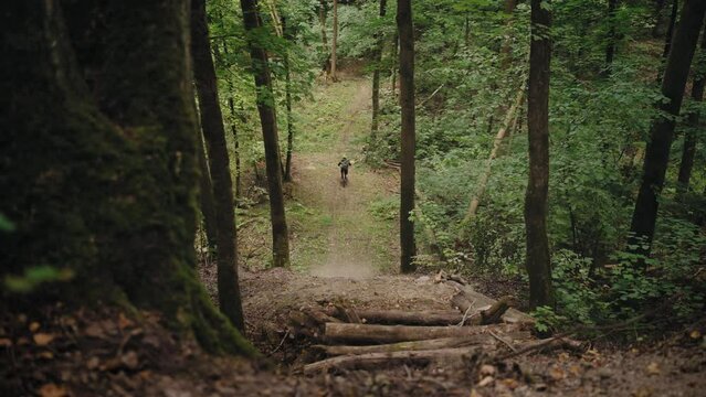 A cinematic shot of a man at high speed wearing a helmet on an MTB in the forest accelerates and jumps from a huge high mountain in the forest. Forest track for extreme bikes. Professional backer