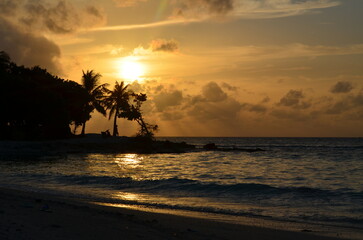 Sunset on palmy beach