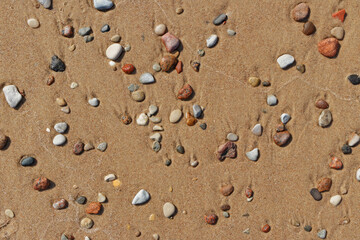 Stones on wet sand beach