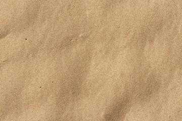Fototapeta na wymiar Beach dry sand texture in the summer sun