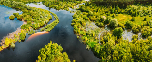 Aerial view. Green forest, meadow and river marsh landscape in summer. Top view of european nature from high attitude in summertime. Bird's eye view. Belarus.