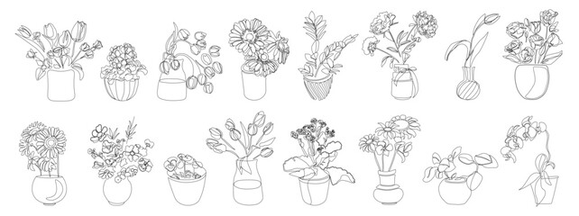 Collection of hand drawn outline garden flowers in vases and pots. One line art design. Beautiful blooming elegant set of drawing floral elements isolated on white background