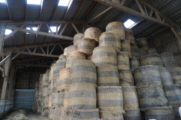 round hay bales stacked in huge barn in france