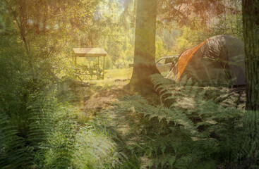 Camping in the woods. Double exposure photo 
