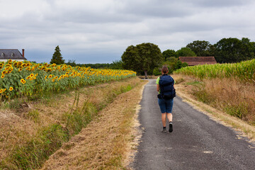 Fototapeta premium Pilgrim along the Chemin du Puy, French route of the way of St James