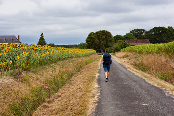 Fototapeta premium Pilgrim along the Chemin du Puy, French route of the way of St James